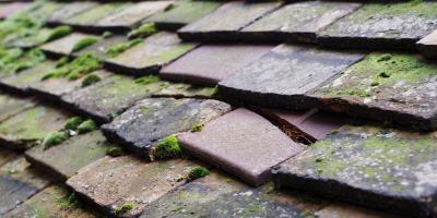 Bratton roof repair costs